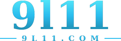 9l11 logo